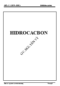 Bài tập dạy thêm Hóa học Lớp 11 - Chương hydrocacbon - Năm học 2019-2020 - Nguyễn Vỹ